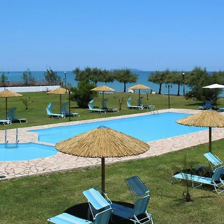 Corfu Sea Palm - Cfu02015-fyd * Roda (Corfu)