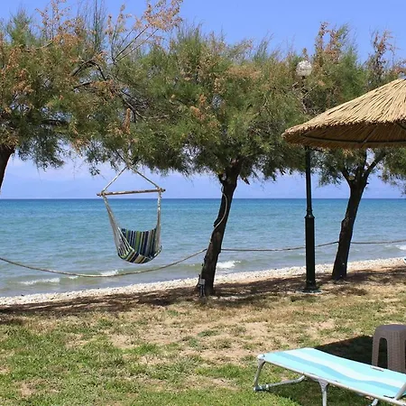 Corfu Sea Palm - Cfu02015-fyd Hébergement de vacances